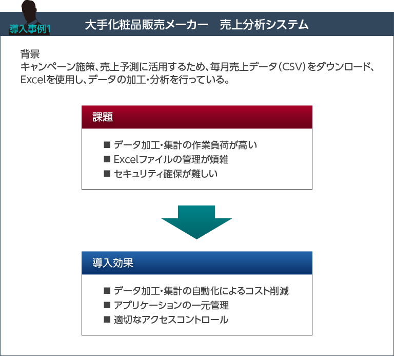 大手化粧品販売メーカー 売上分析システム